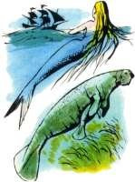 vallée des sirènes景点图片