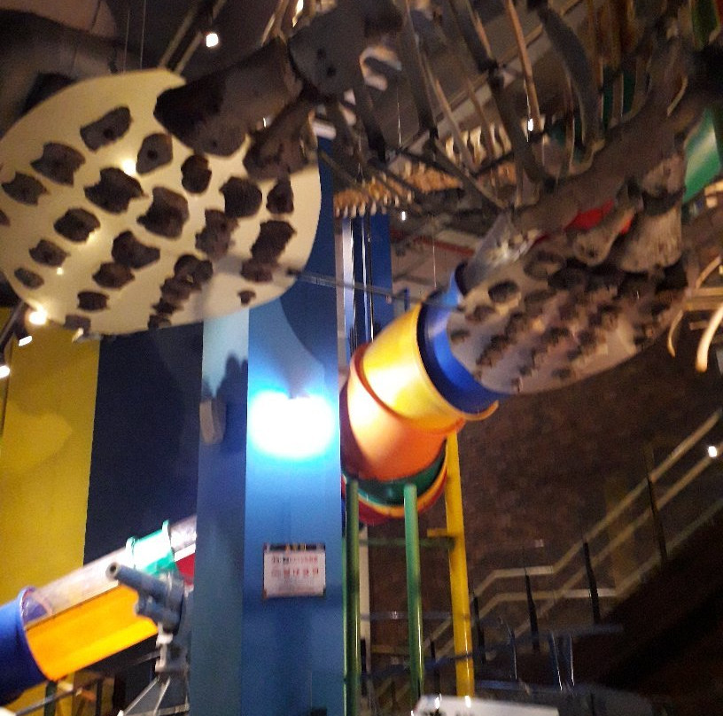 Jangsaengpo Special Whale Culture Zone-蔚山必去景点