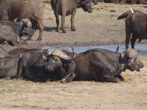 Discover Tours-白河必去景点