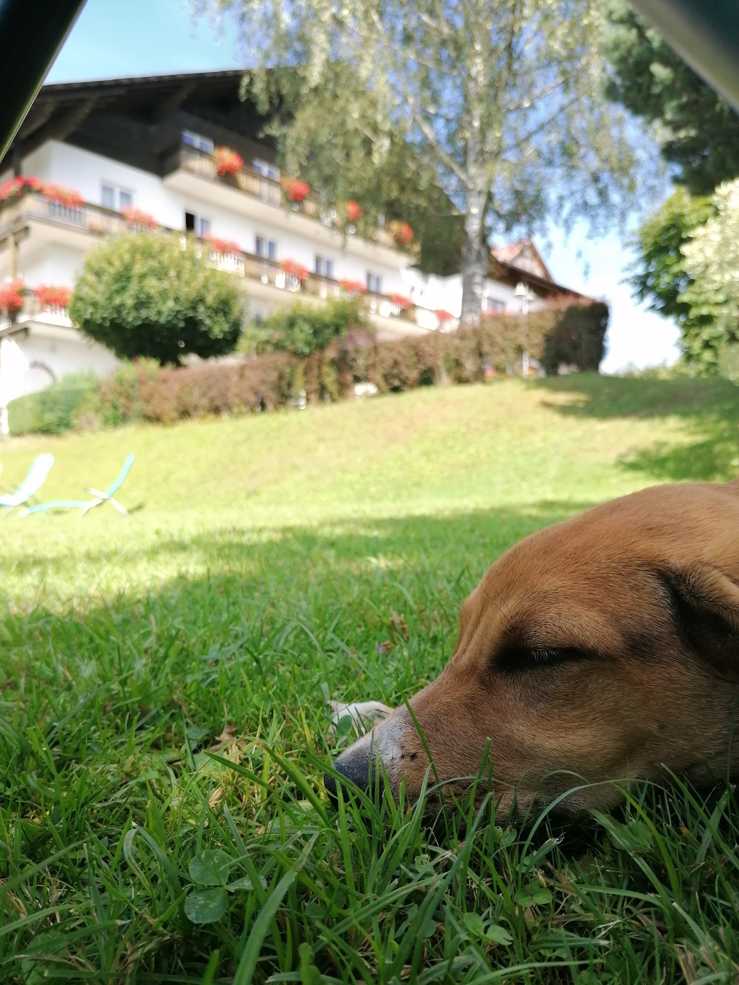 Semriacherhof-官方