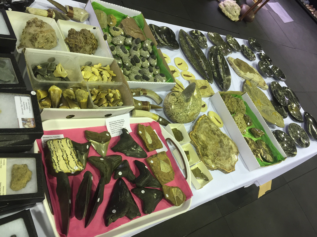 The Roxbox景点图片