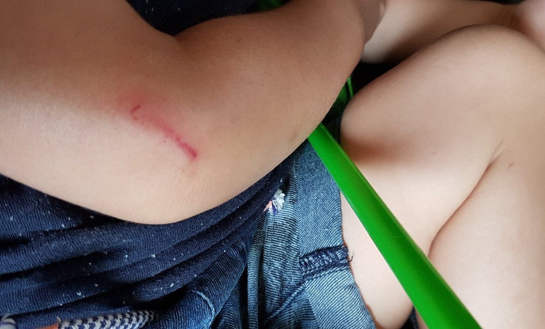 Old MacDonald's Farm-拉皮德城必去景点