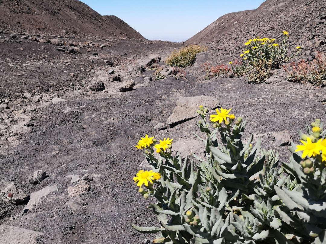 Etna Touring-尼科洛西必去景点