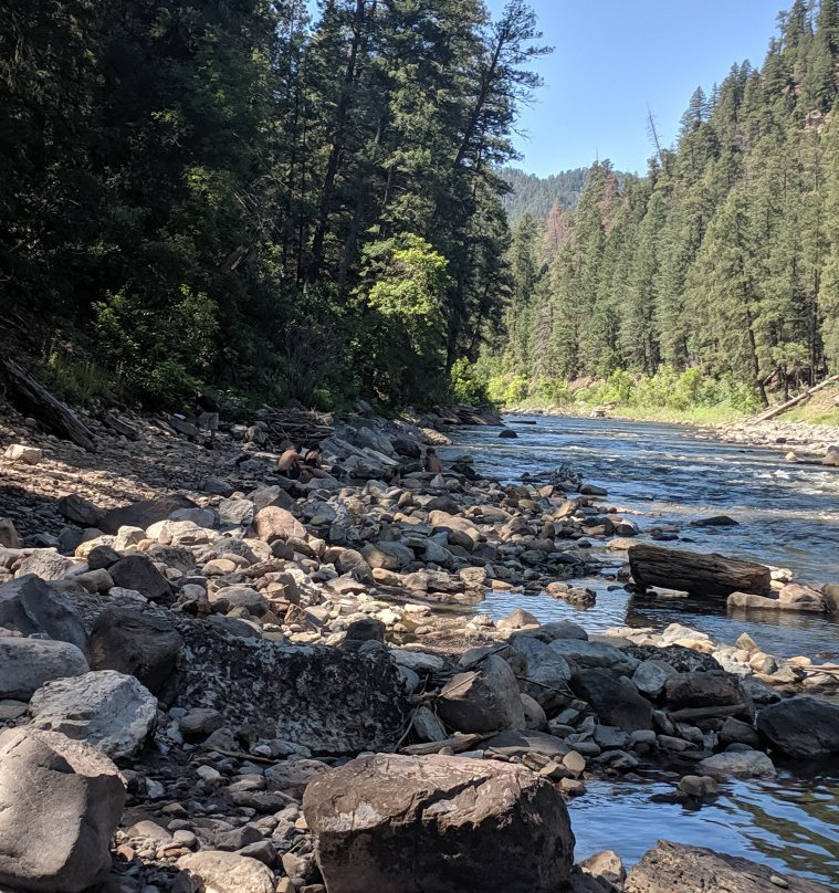 Sheep Creek Trail-帕戈萨斯普林斯必去景点