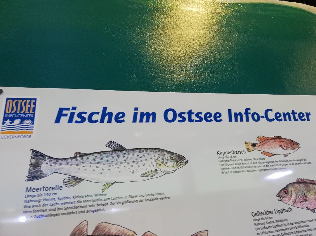 Ostsee Info-Center景点图片