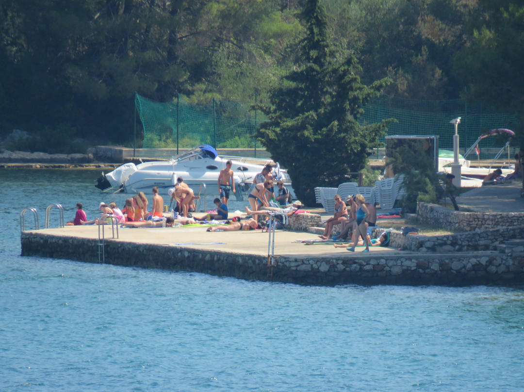 Picic Guesthouse主图