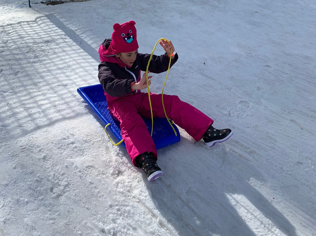 Corin Forest-Paddys River必去景点