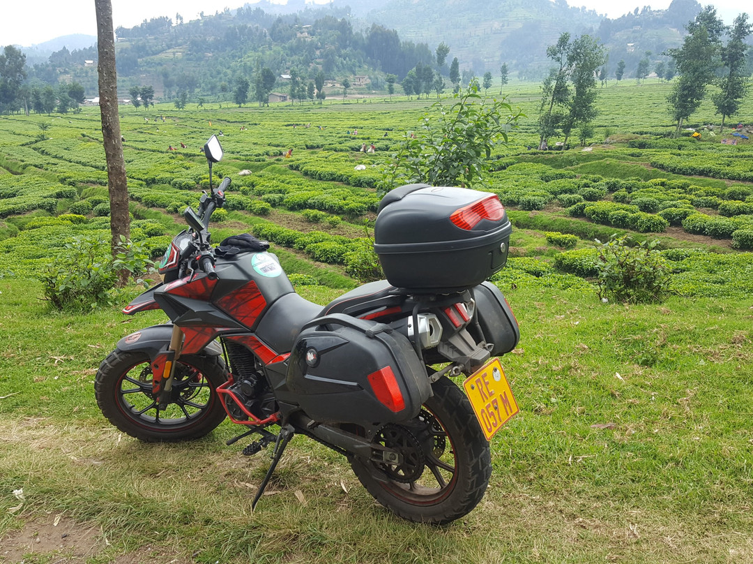 Motorbiking Rwanda Tours Ltd景点图片