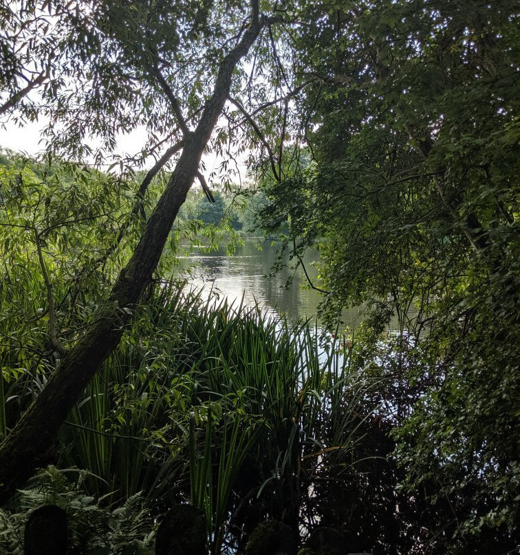 Plantsbrook Community Nature Park-伯明翰必去景点