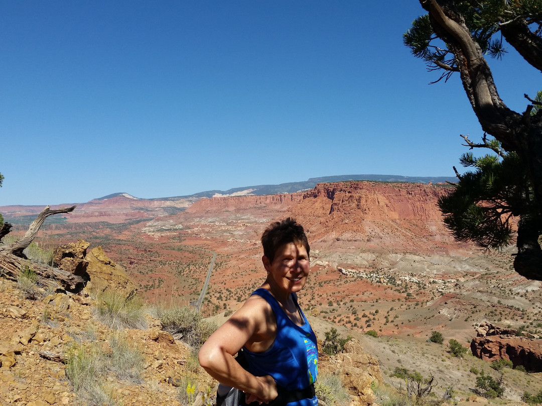 Chimney Rock Trail景点图片
