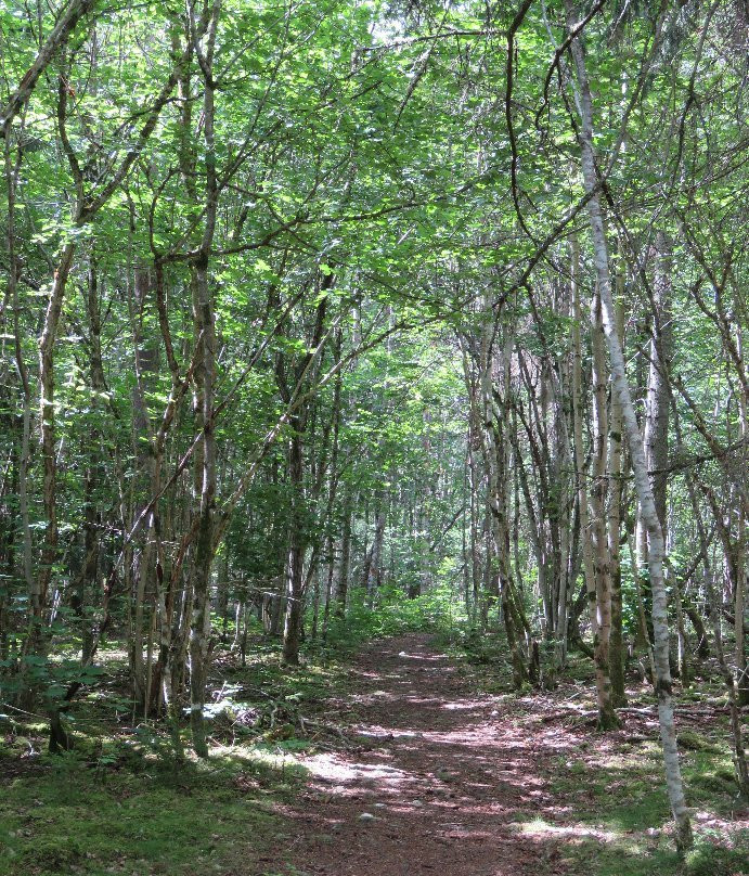 Garphyttans Nationalpark-厄勒布鲁必去景点