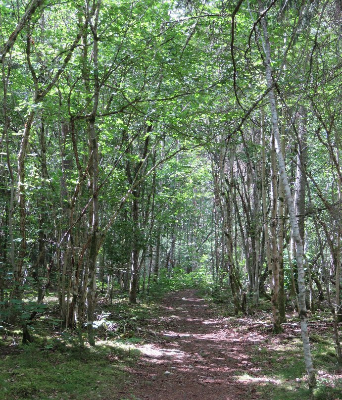 Garphyttans Nationalpark景点图片