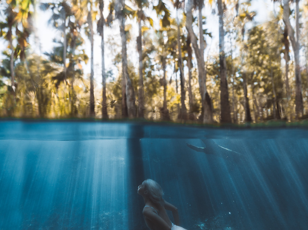 Bitter Springs-Mataranka必去景点