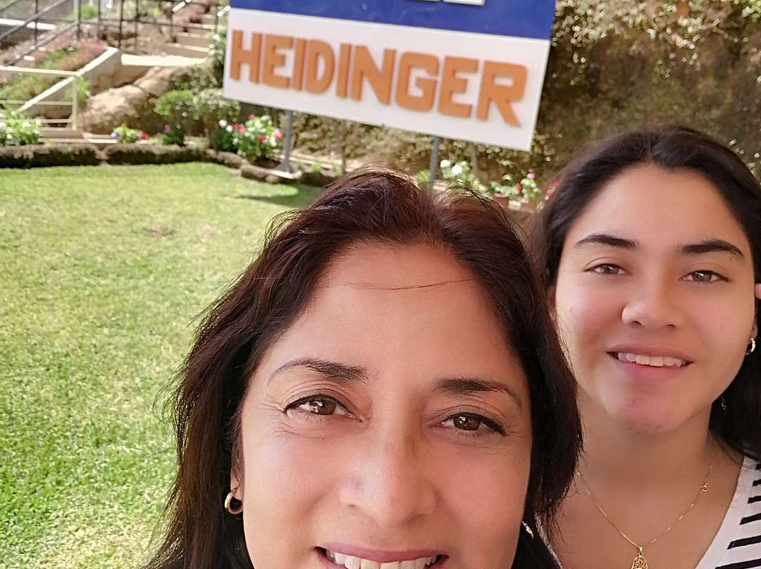 Hotel Heidinger主图