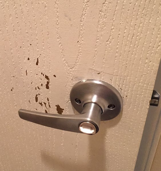 Wingate By Wyndham Los Alamos主图