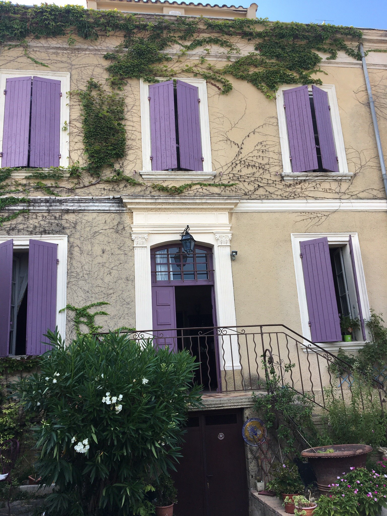 The Wine B&B-官方