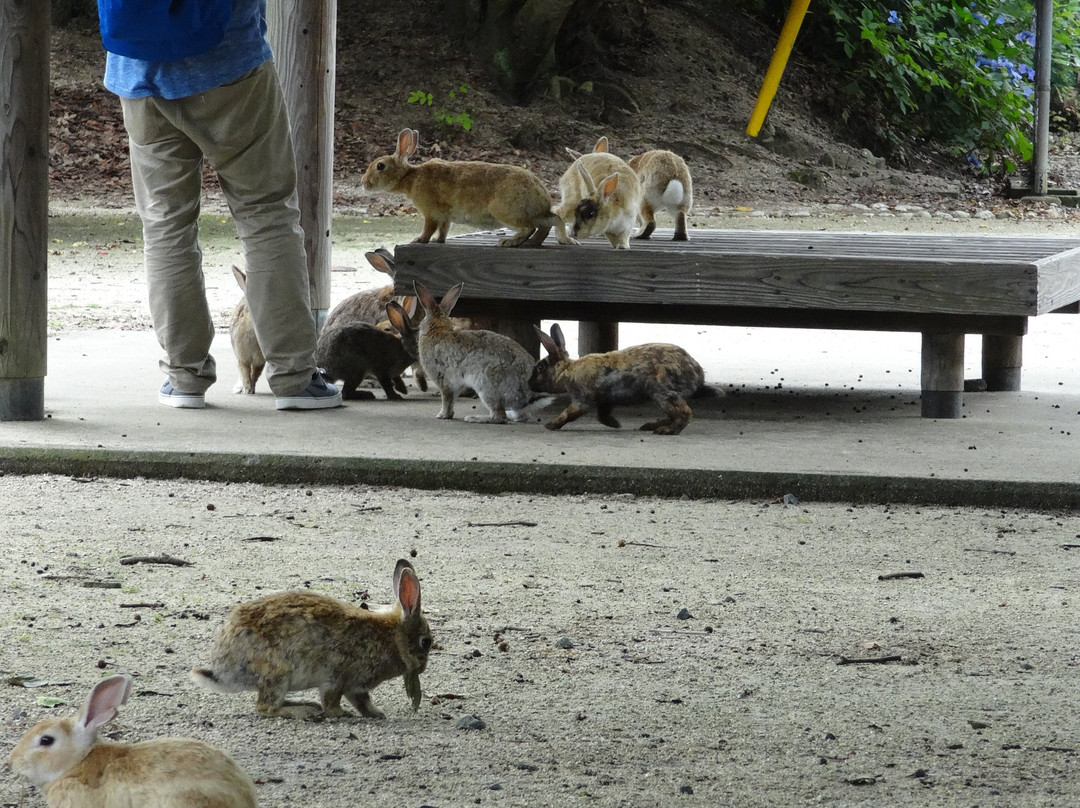 Okunoshima Island Visitor Center-竹原市必去景点