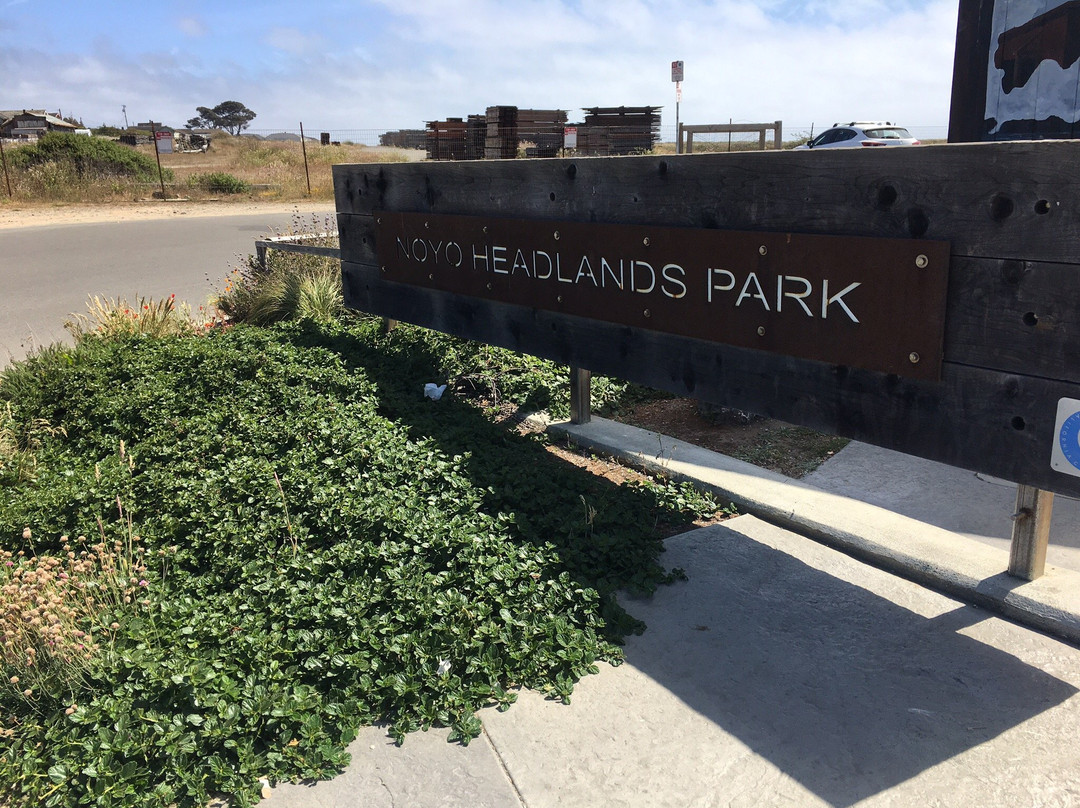 Noyo Headlands Park景点图片