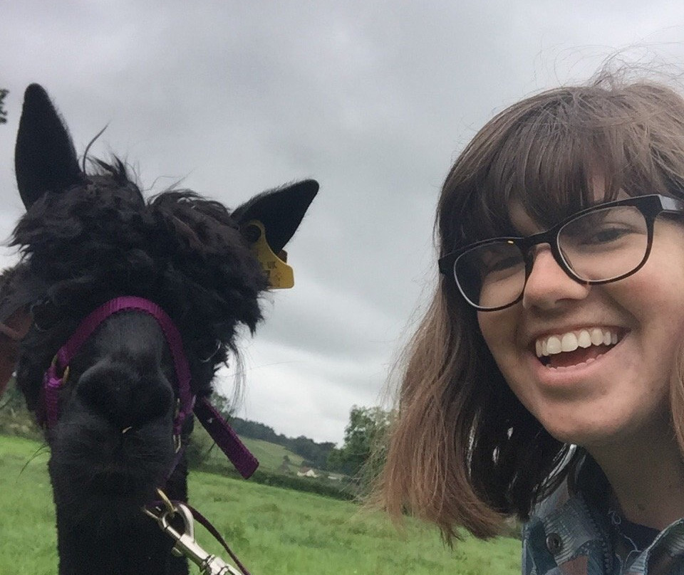 Clivewood Alpacas-什鲁斯伯里必去景点
