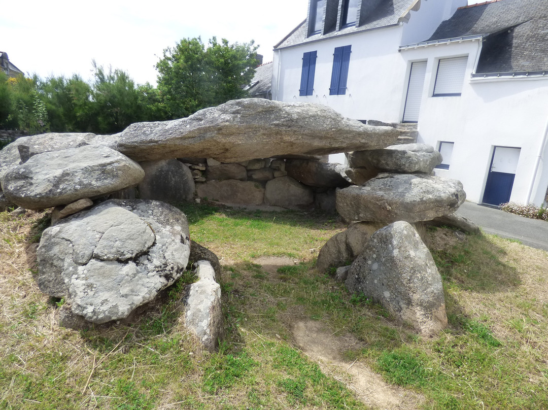 Dolmen du Roche en Aud景点图片