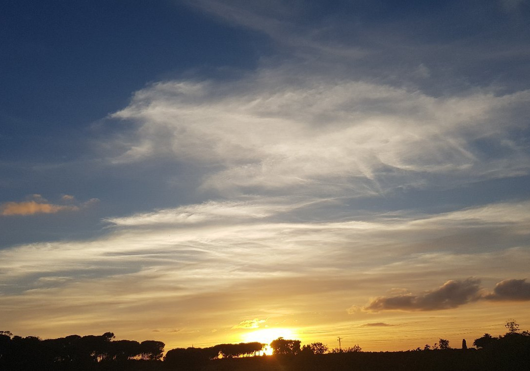 Transbordadores Playas de Cartaya-埃尔龙皮多必去景点