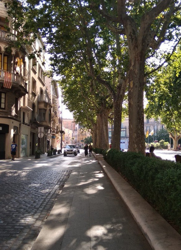 La Rambla de Figueres景点图片