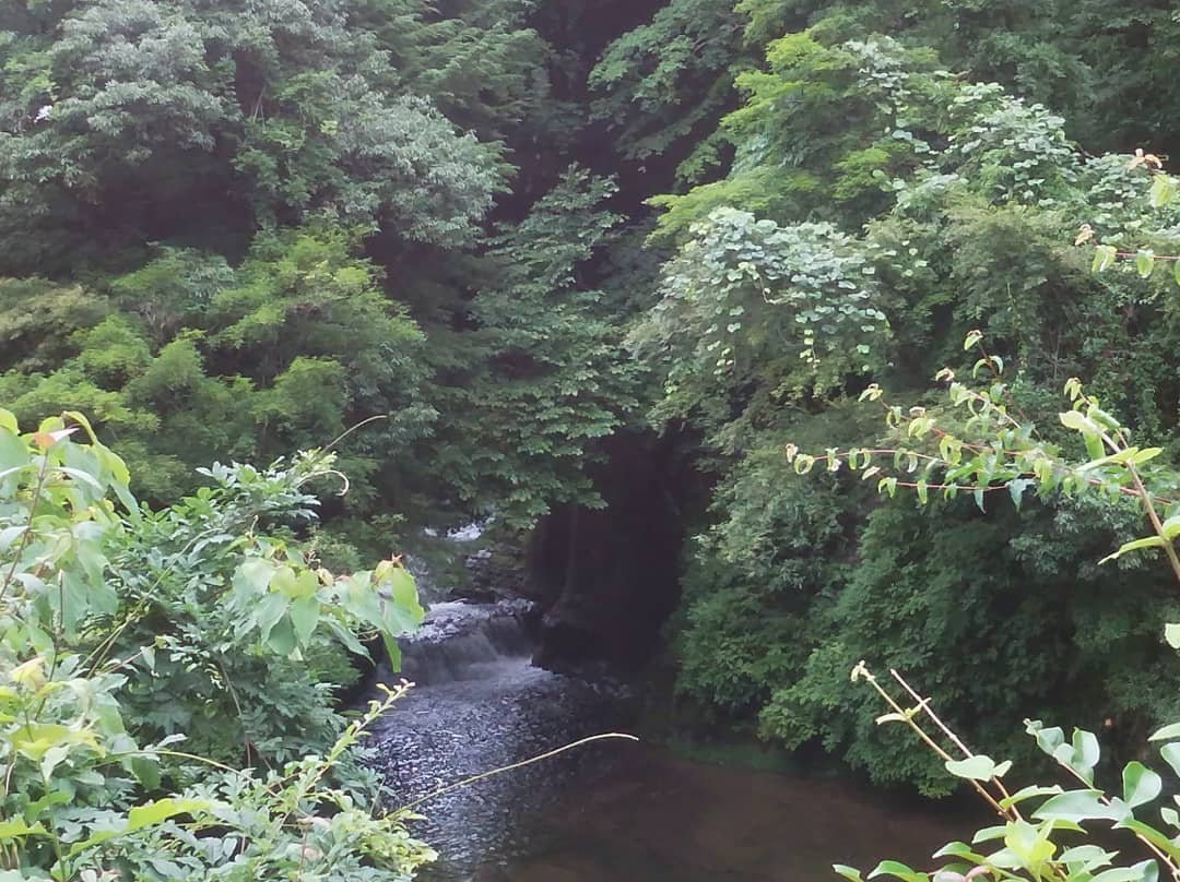 Shimizu Keiryu Hiroba Nomizo Fall・Kameiwa Cave景点图片
