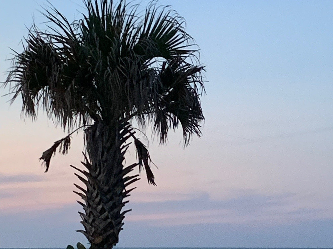 Atlantic Plaza主图