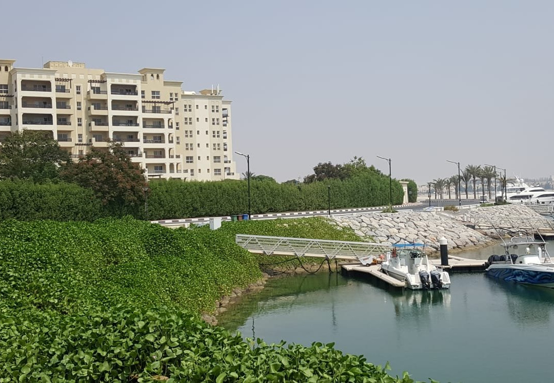 Al Hamra Marina & Yacht club-哈伊马角必去景点