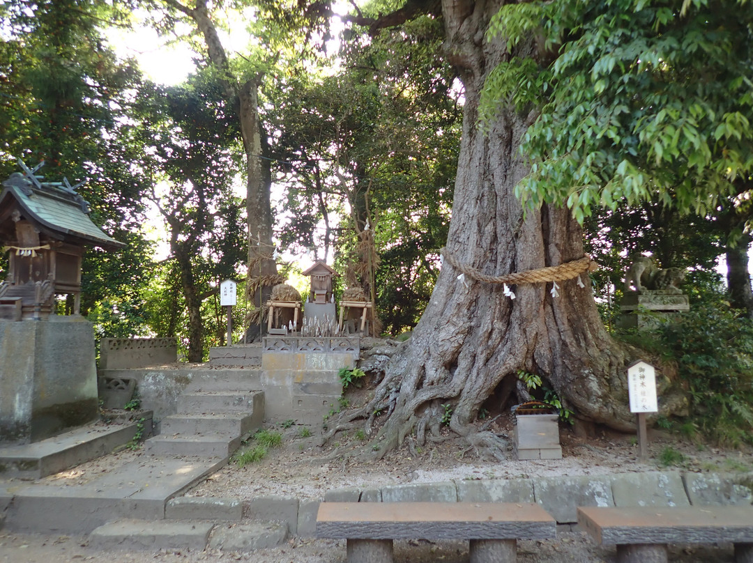 Iya Shrine-松江市必去景点