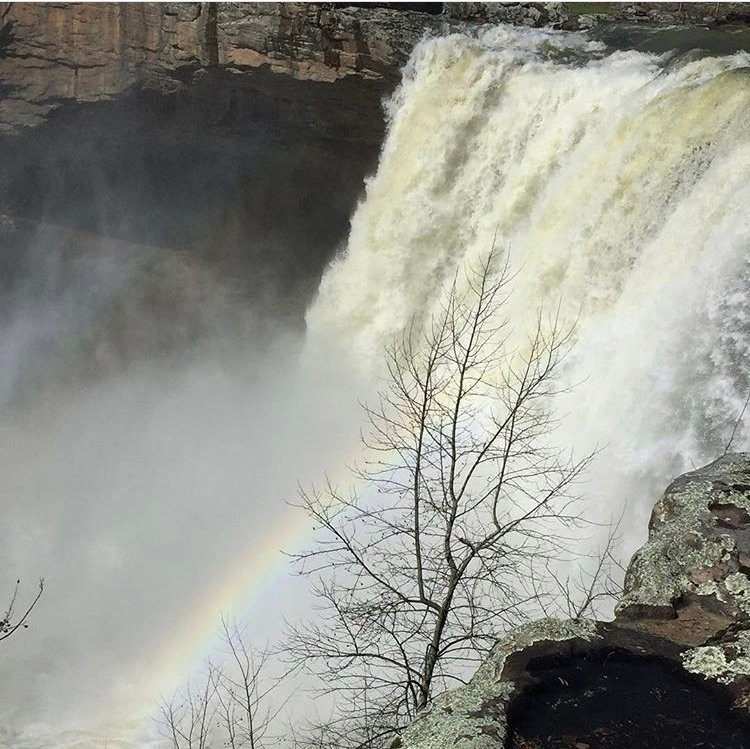 2024年4月Noccalula Falls Park & Campground景点攻略Noccalula Falls Park