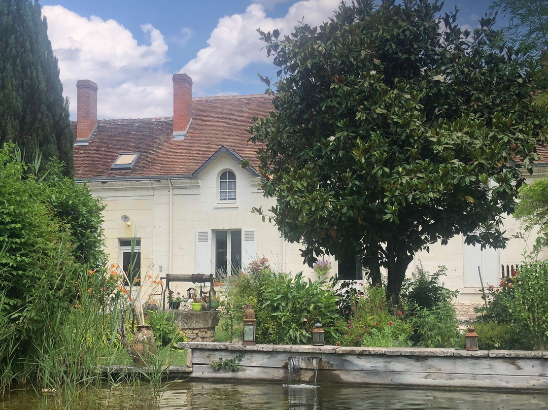 Jardin de CANAAN主图