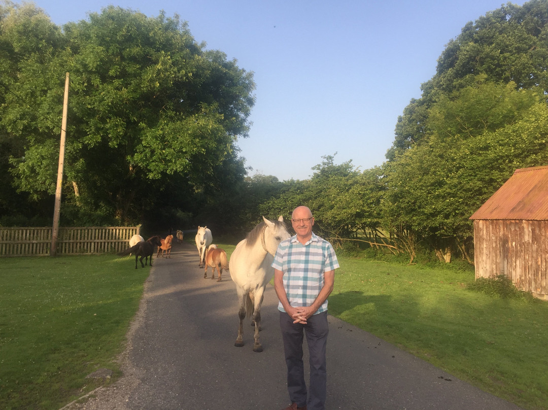 Twin Oaks Guest House主图