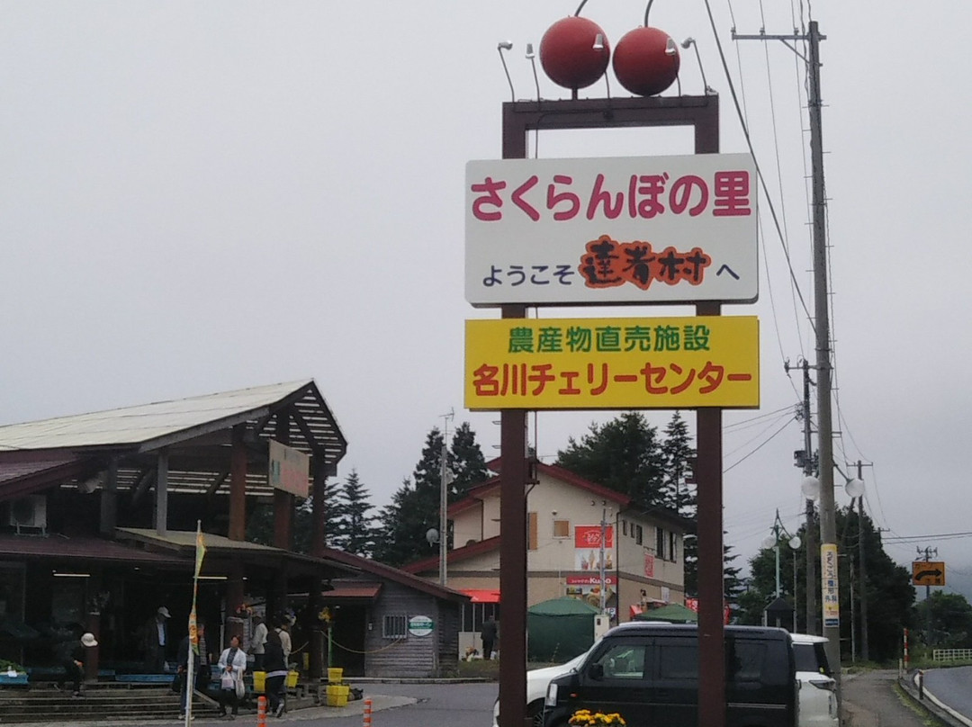Nagawa Cherry Center景点图片