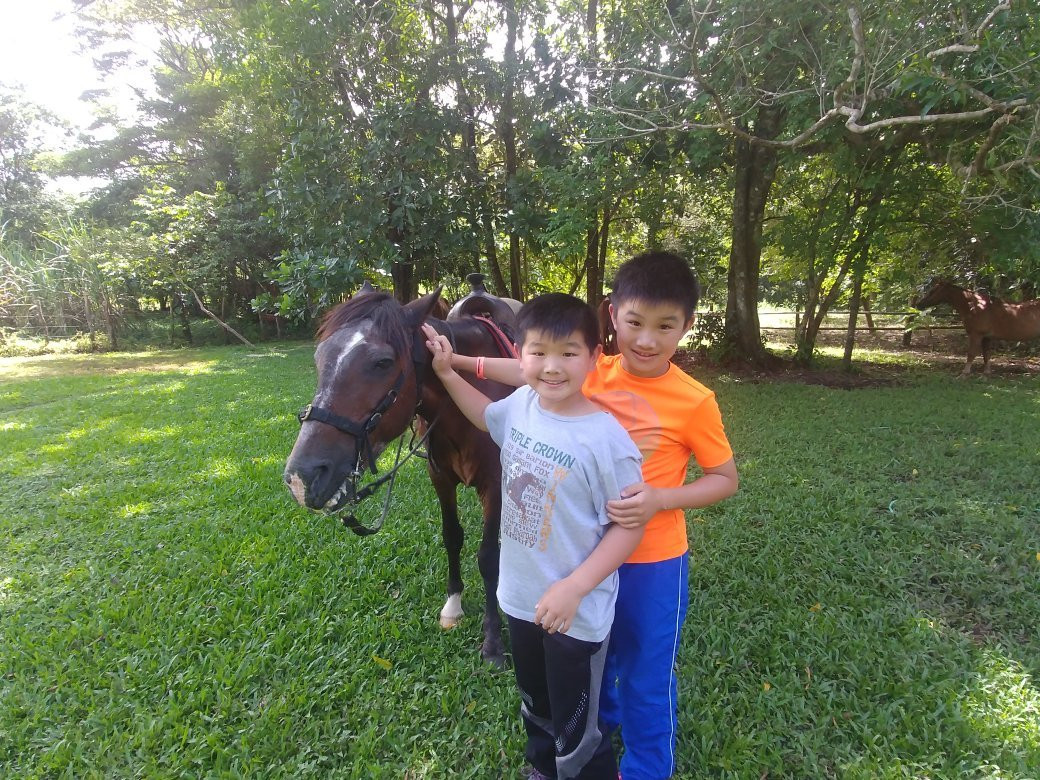 Franklin's Horseback Riding景点图片