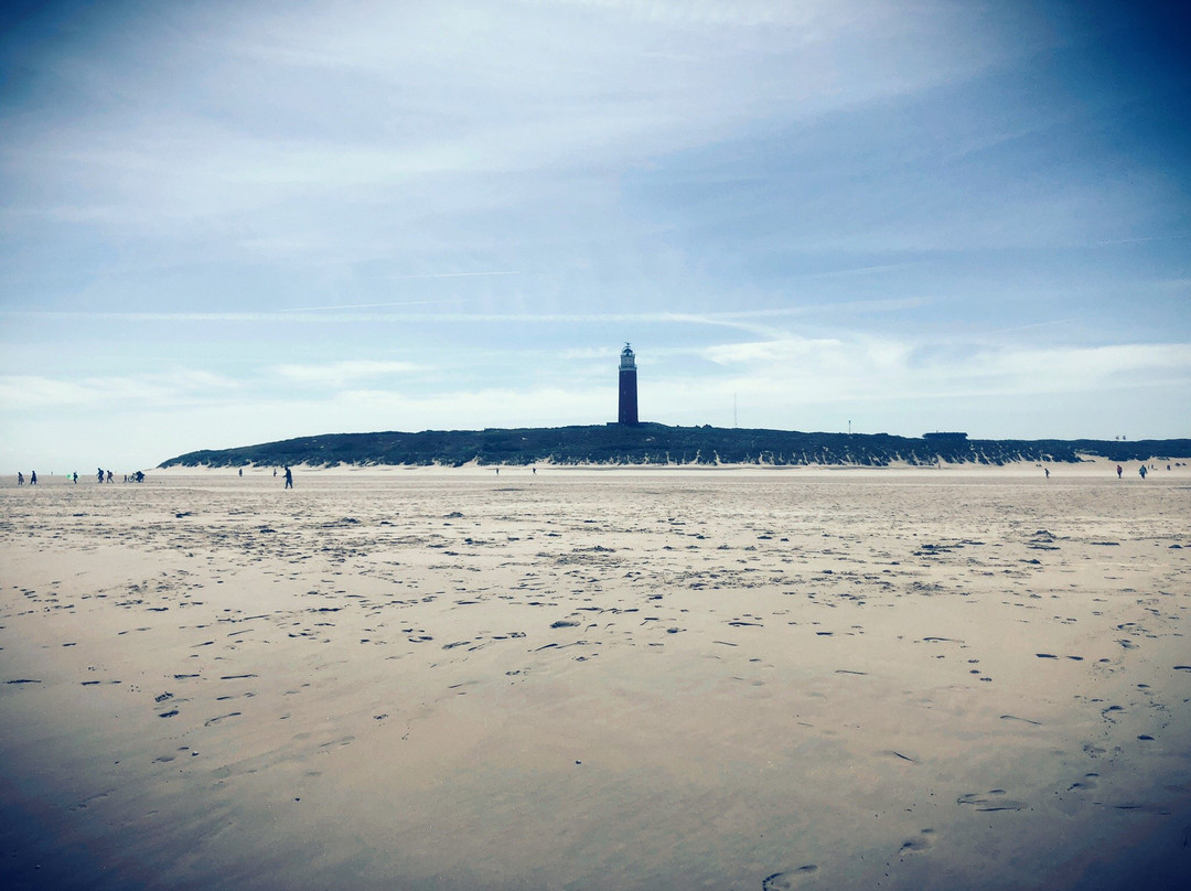 Vuurtorenweg Texel Beach景点图片