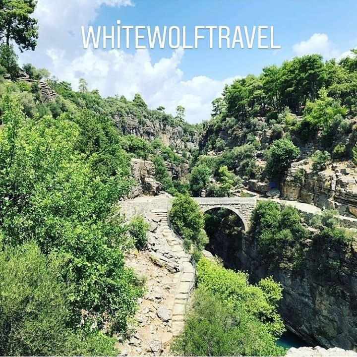 White Wolf Travel景点图片