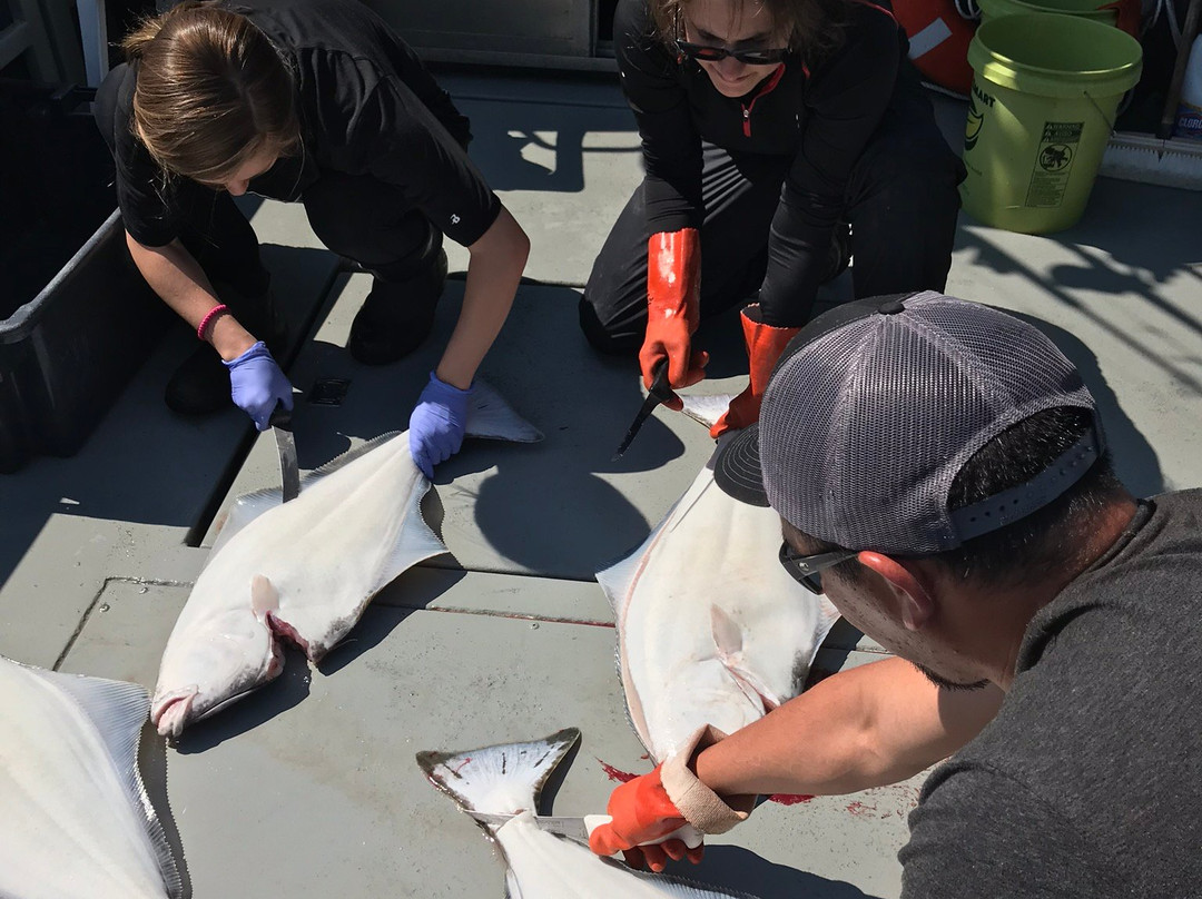 Taylor Charters Fishing-古斯塔夫斯必去景点