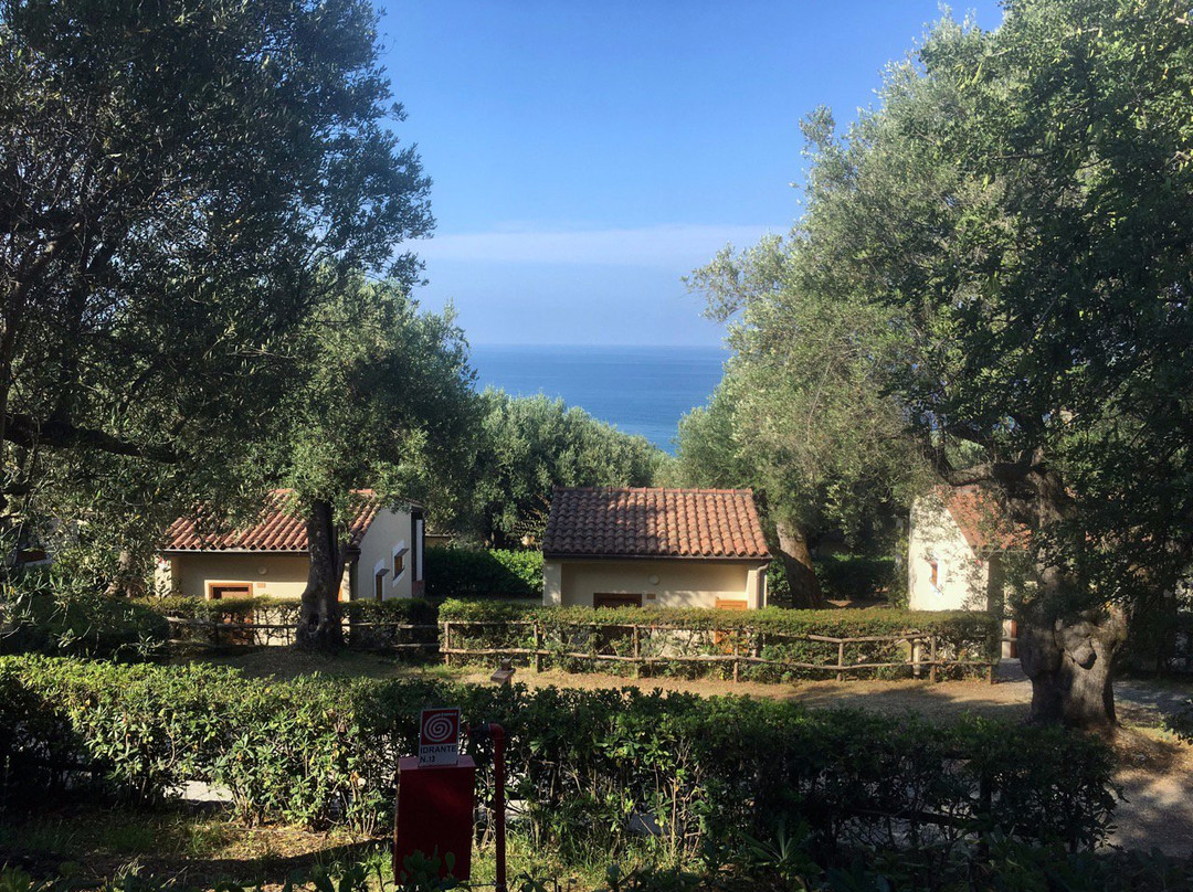 Villaggio Touring Marina di Camerota主图