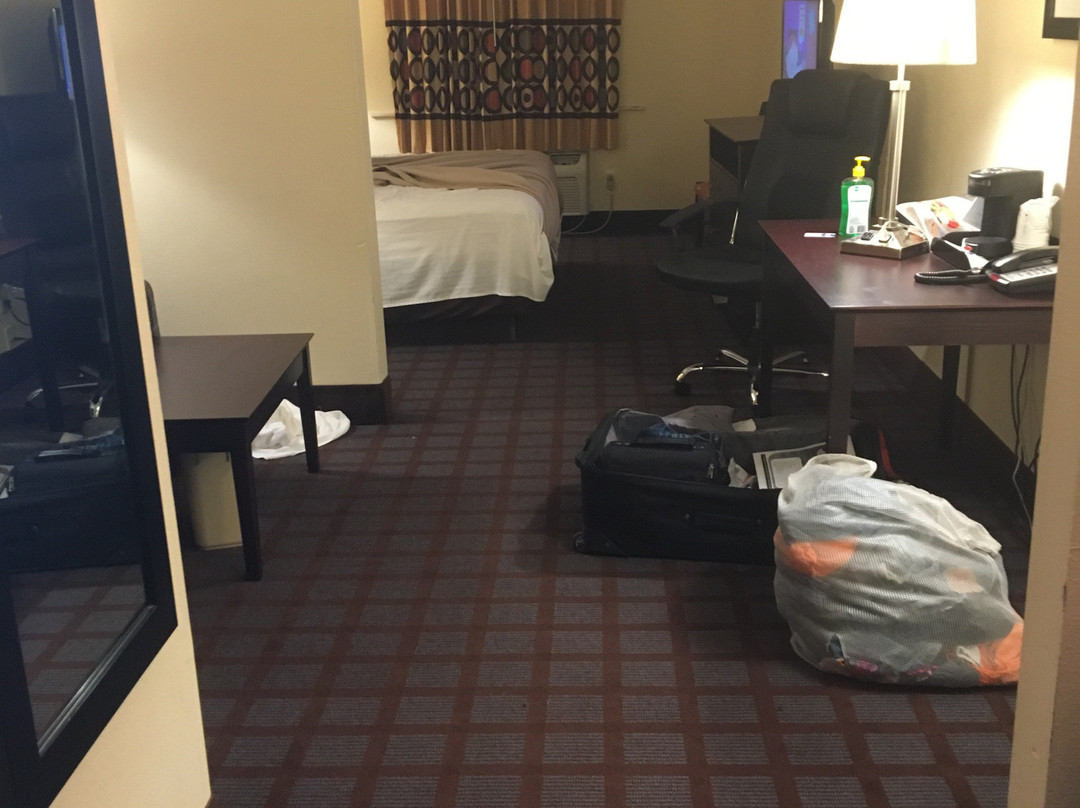 Super 8 by Wyndham Bloomington主图