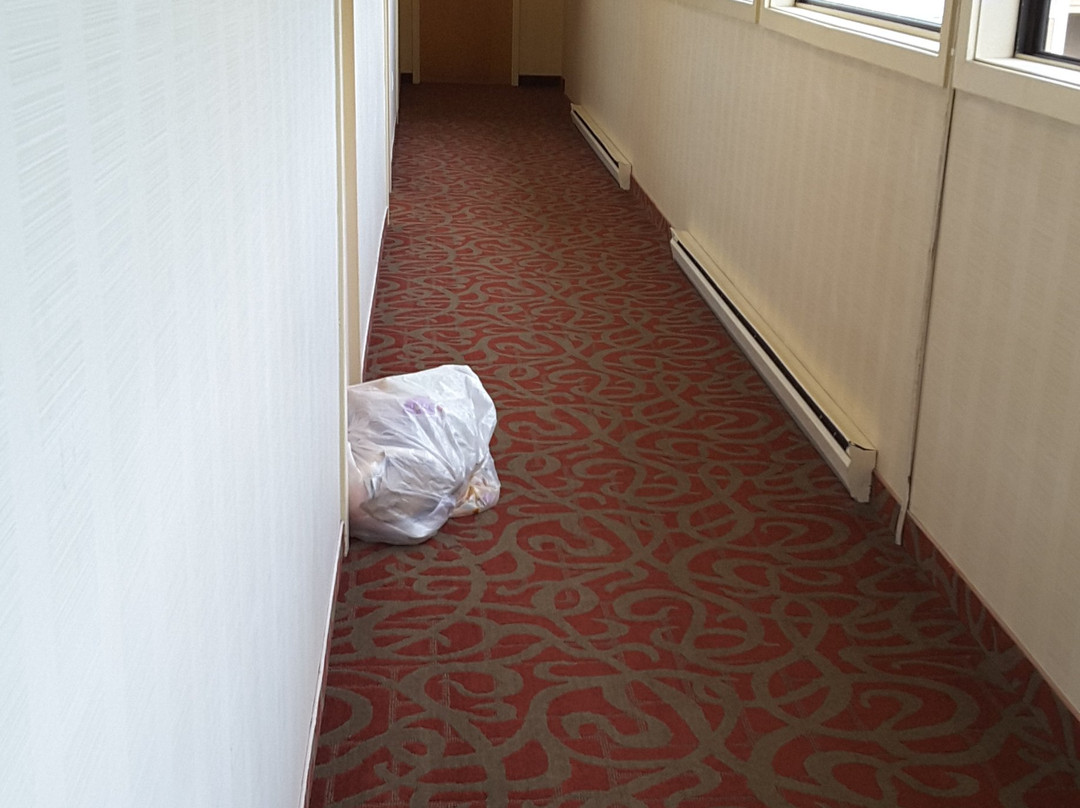 Quality Inn Shelburne - Burlington主图