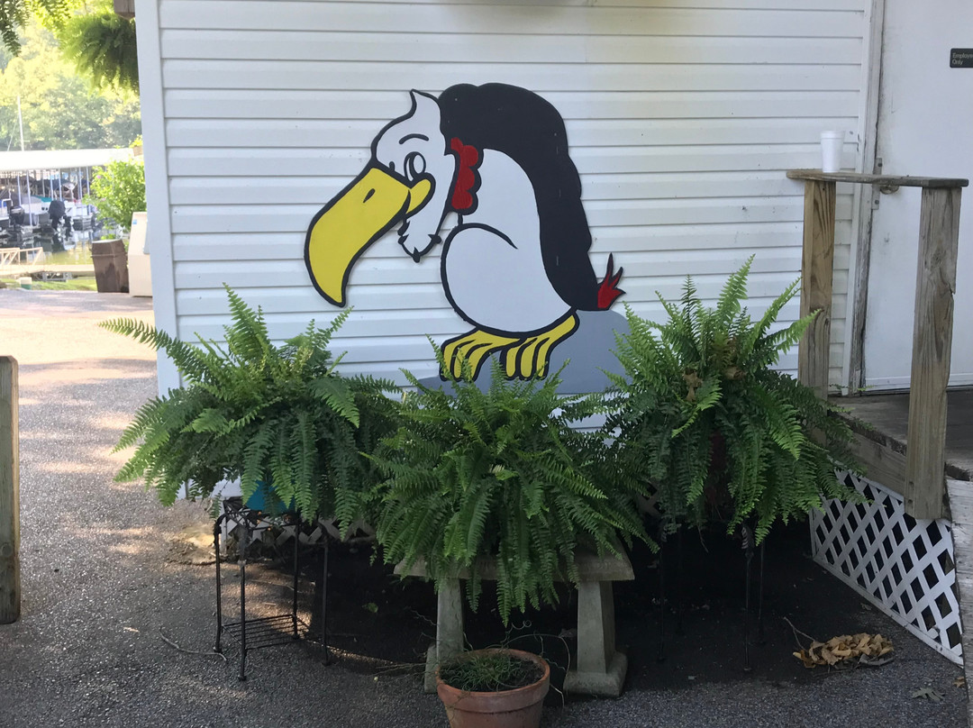 Buzzard Rock Resort主图