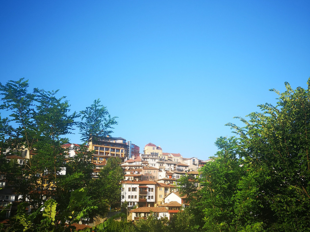 The Gallery-大特尔诺沃必去景点