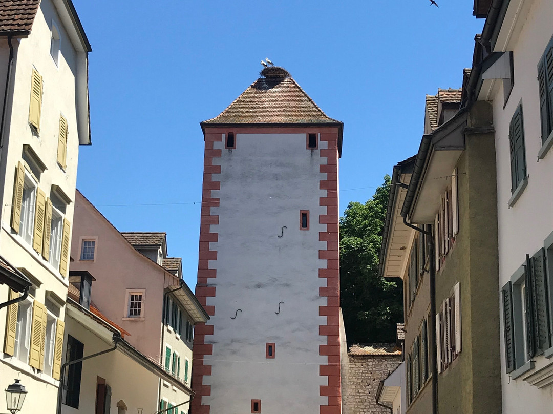 Storchennestturm-Rheinfelden必去景点