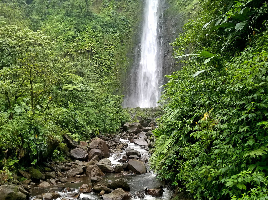 Carbet Falls (Les Chutes du Carbet)景点图片