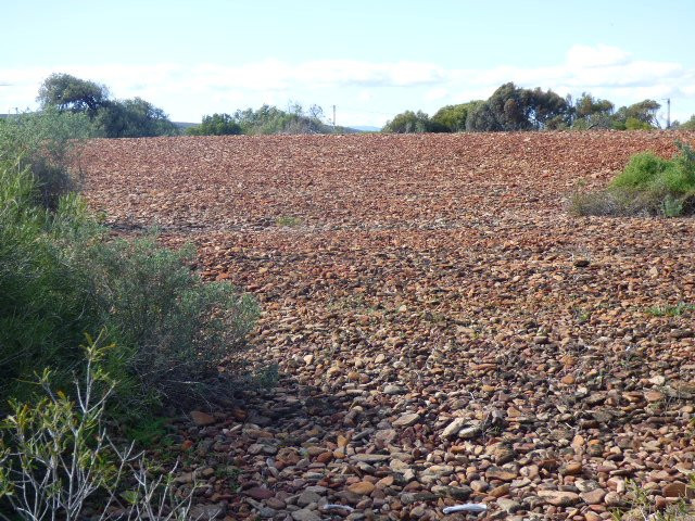 Fitzgerald Bay-Whyalla必去景点