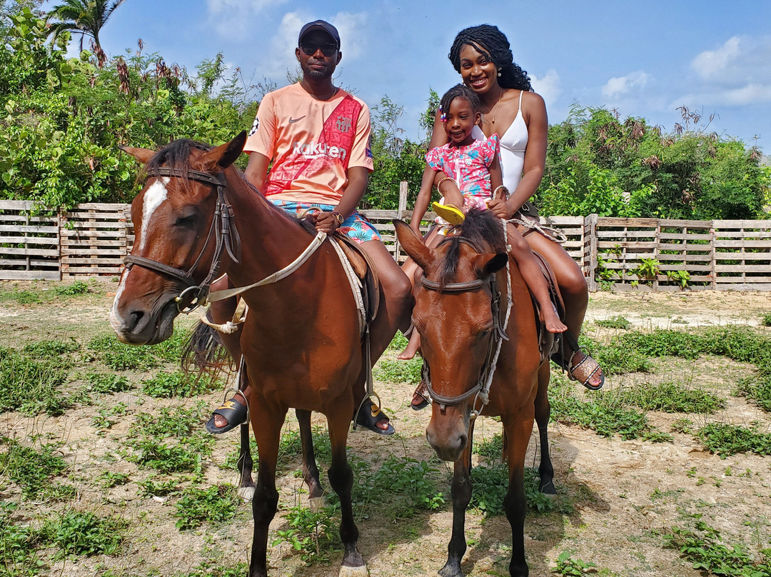 Jah Works Riding Stables-布里奇顿必去景点