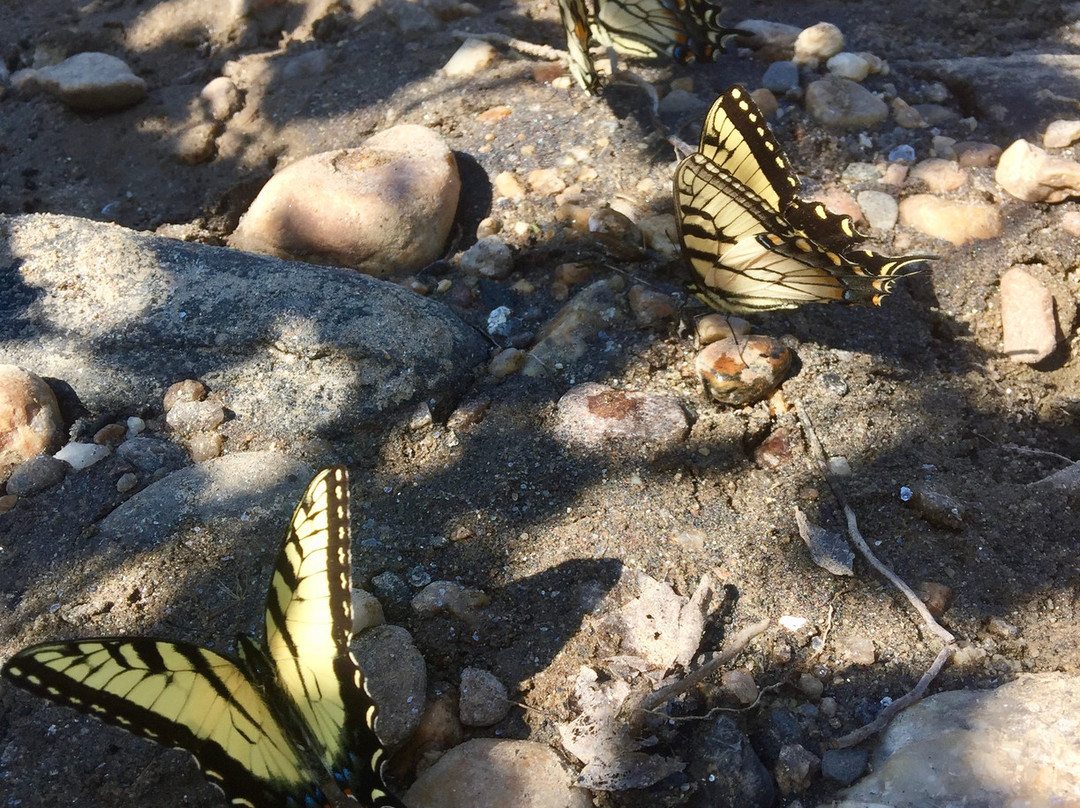 Loafers Glory Rafting and Tubing-Bakersville必去景点