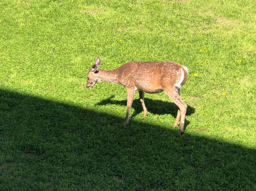 卡普特雷布伦特山地度假村主图