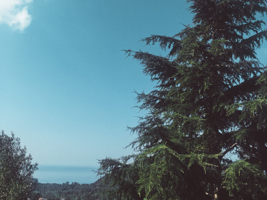 Bed and Breakfast Sant'Agata主图